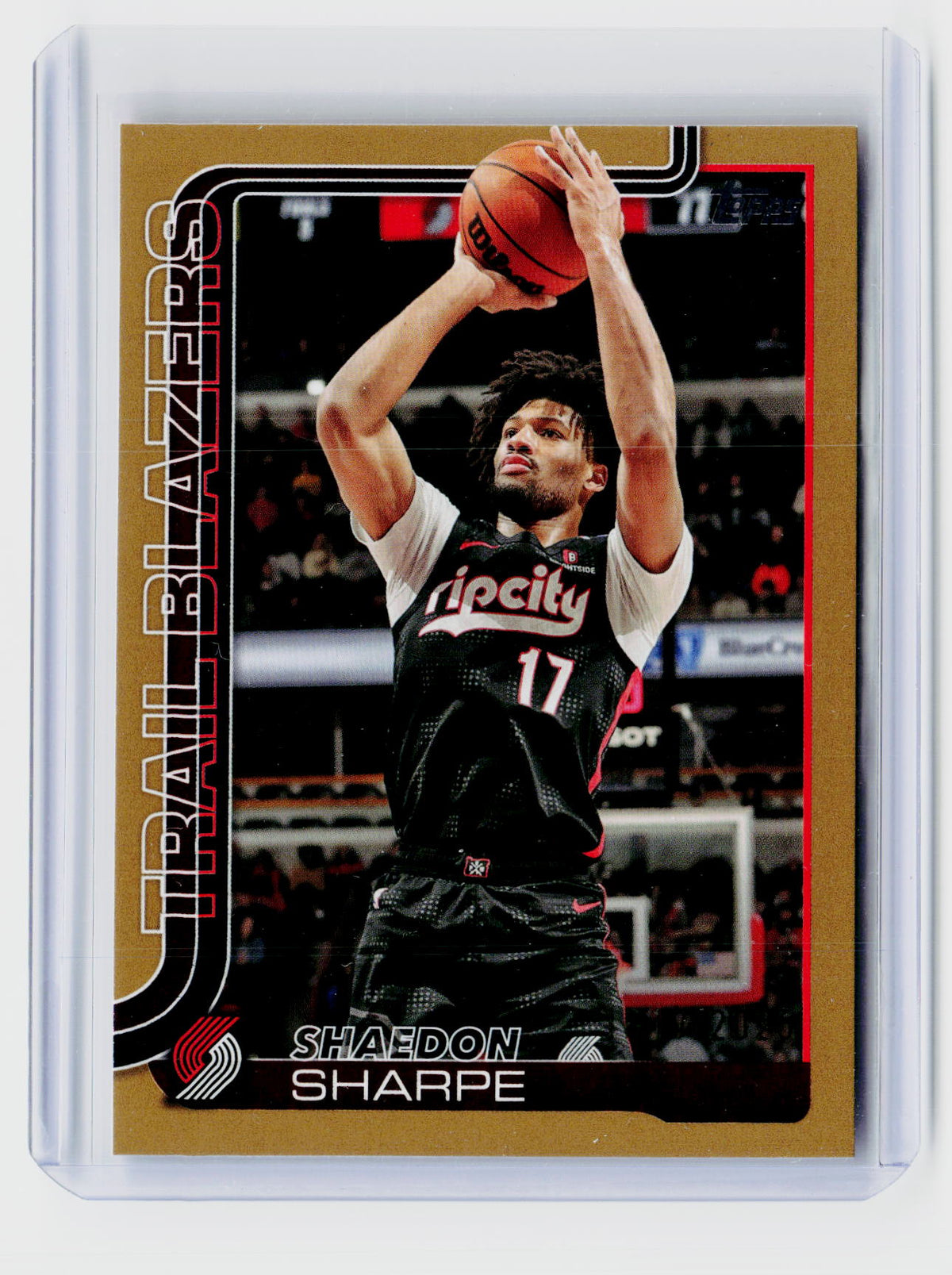 2024-25 Topps Basketball Flagship Shaedon Sharpe #127 - front