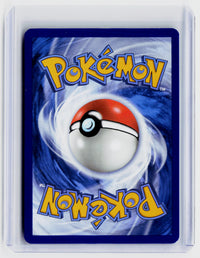 2025 Pokémon Scarlet & Violet Black Star Promo Eevee 173/SVP - back