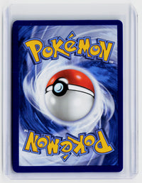 2026 Pokémon Mega Evolution—Perfect Order Silvally Illustration Rare #095/084 - back