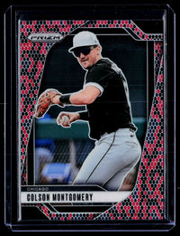 2025 Panini Prizm - Colson Montgomery #262- Snakeskin Prizm SSP - front