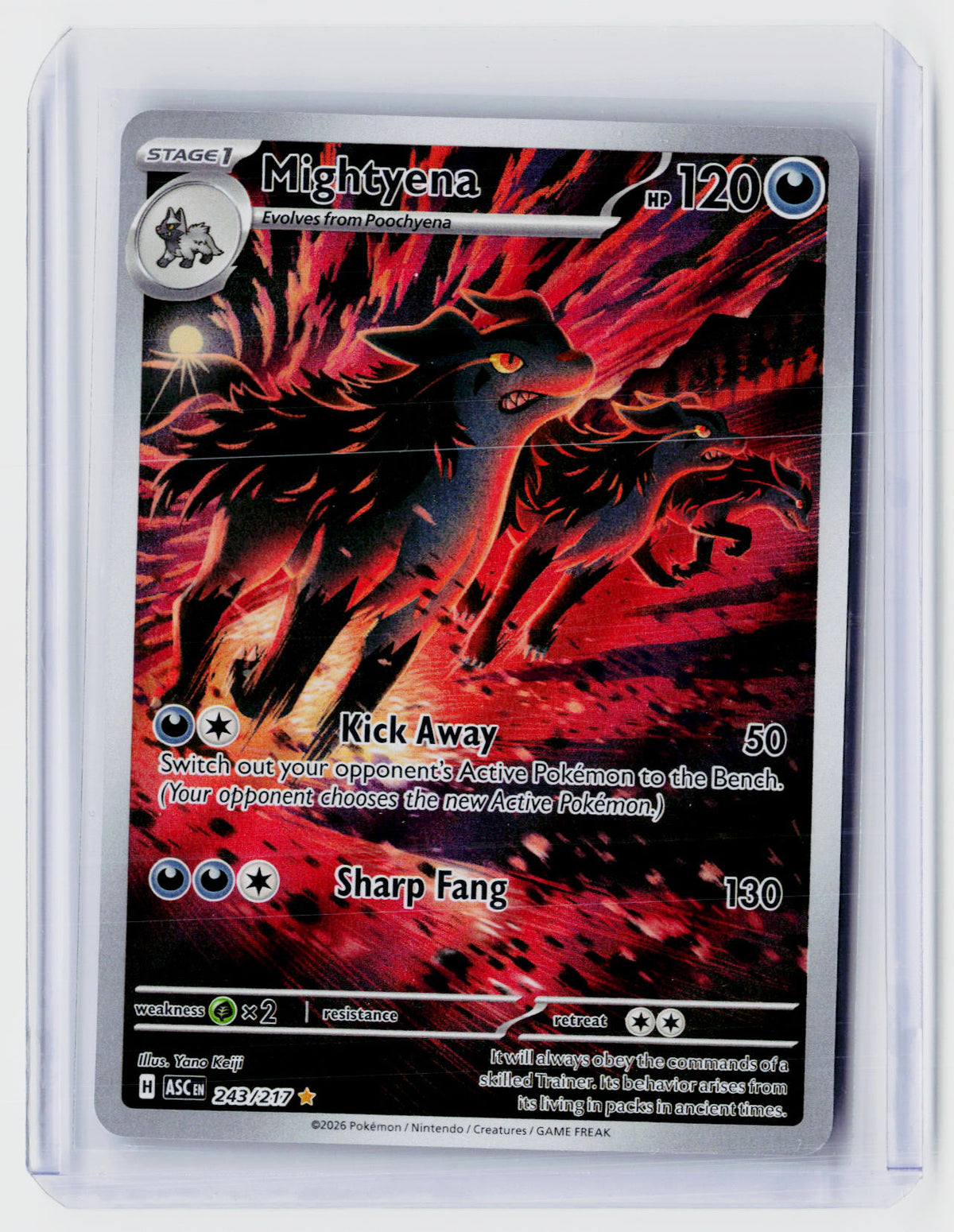 2026 Pokémon Ascended Heroes Mightyena Hyper Rare 243/217 - front
