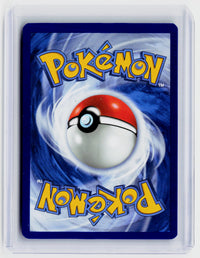 2026 Pokémon Mega Evolution—Perfect Order N's Zekrom #031 - back
