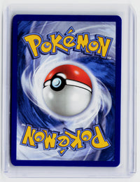 2026 Pokémon Mega Evolution—Perfect Order Treecko Illustration Rare #055 - back